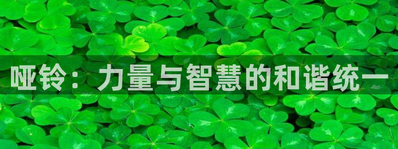 球客岛