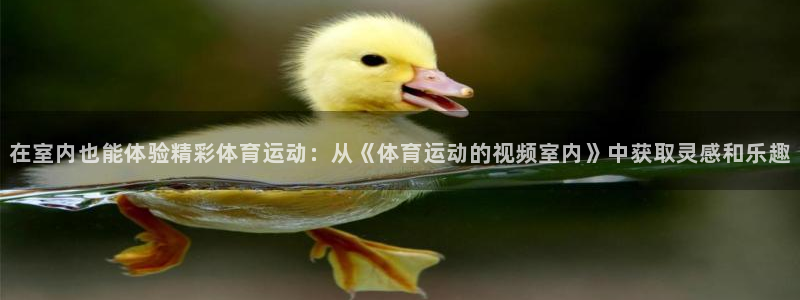 球客岛