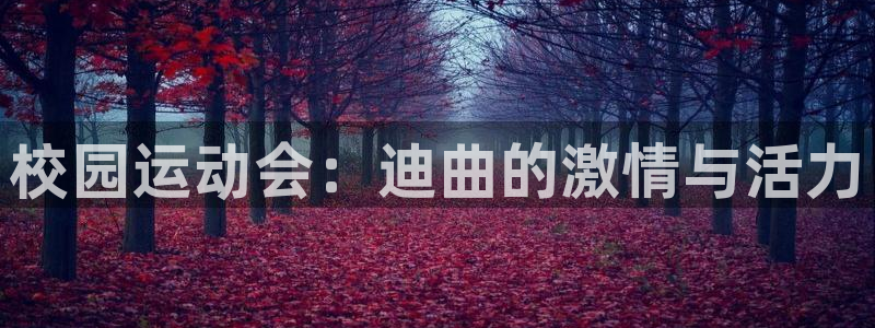 球客岛