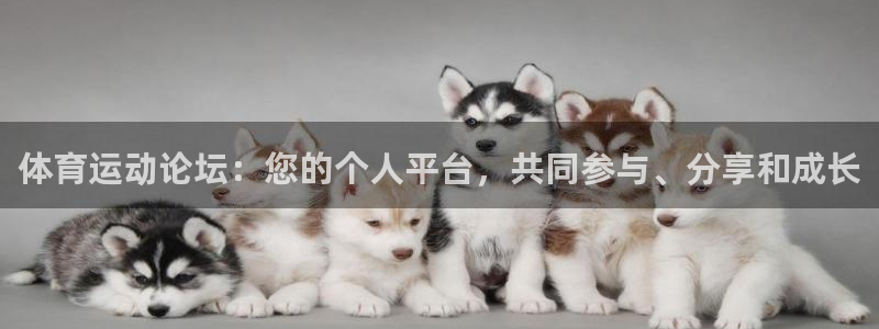 球客岛