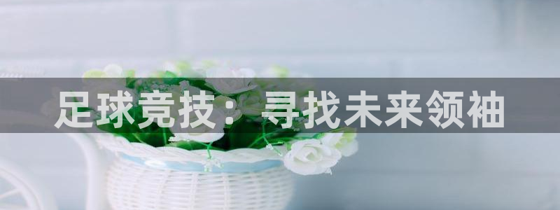 球客岛