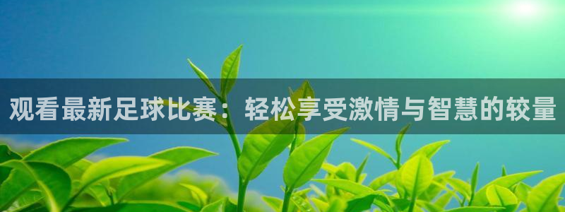 球客岛