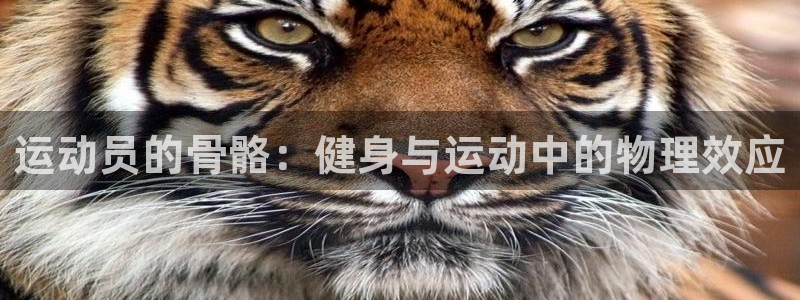 球客岛