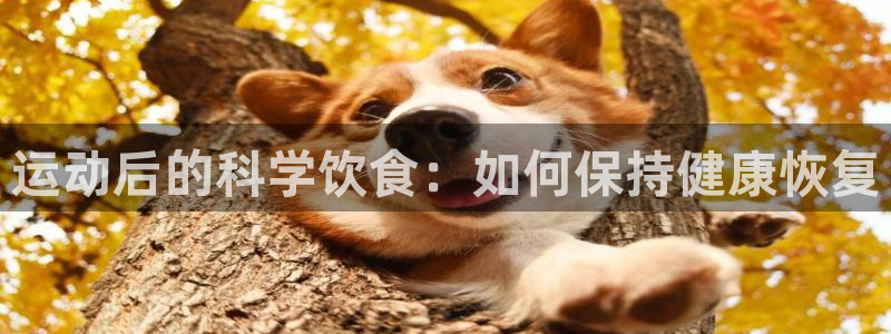 球客岛