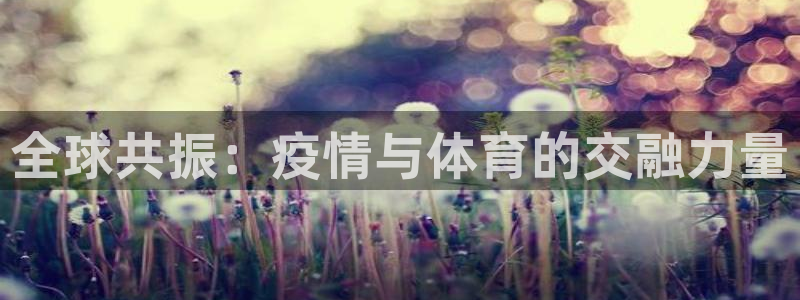 球客岛